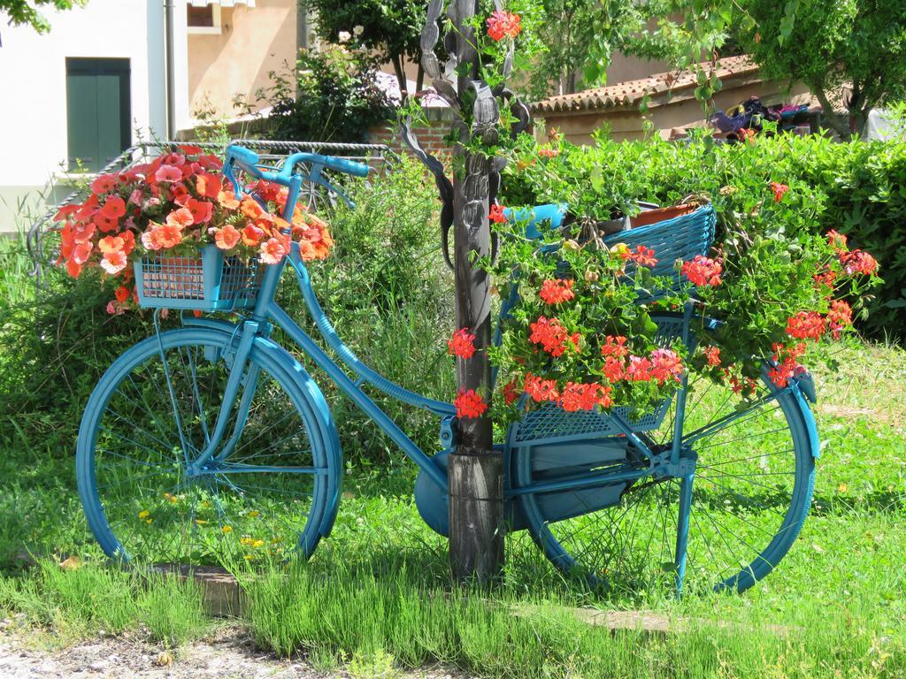 Agriturismo Ca' Marcello Villa Mira Buitenkant foto